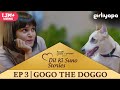 Dil Ki Suno | Episode 3 | Gogo The Doggo