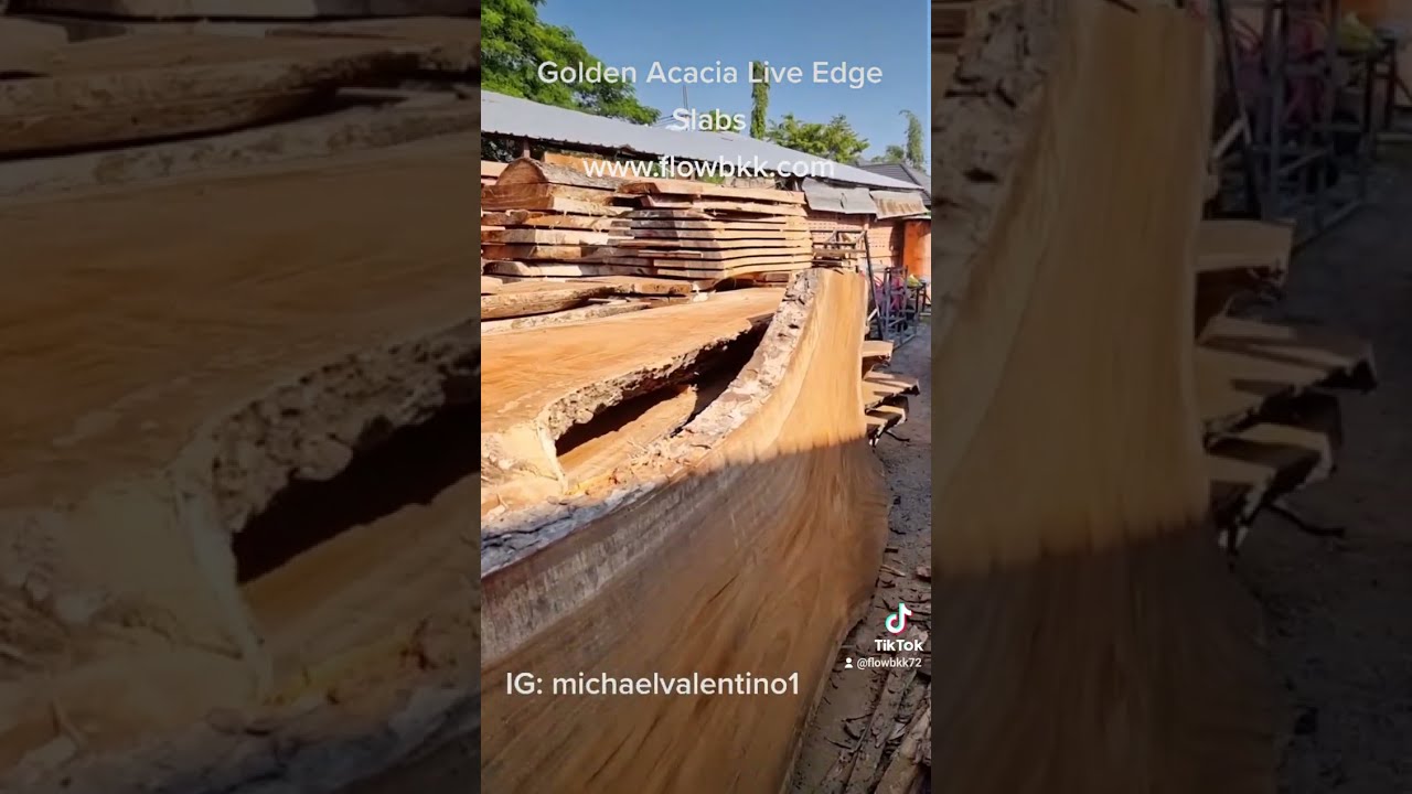Golden Acacia Live Edge Slabs In Stock Now 