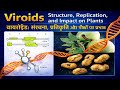 Viroid Explained | Structure, Replication, Diseases &amp; History | B.Sc 2nd Sem Microbiology/Botany