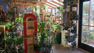Houseplant Tour at the Garden Center! 🌿🌴🌵// Garden Answer