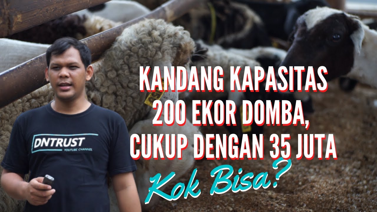 Tips Desain  Kandang  Ideal dan Murah Meriah Untuk Ternak  