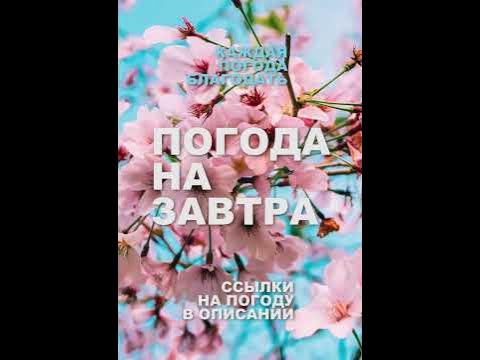 Погода на завтра - YouTube