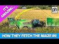 Harvesting Maize with the John Deere 9700i and Tractors Carting #farmingvideos