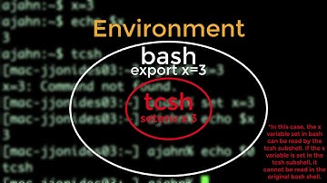 Unix for Neuroimagers #4: Shells, Paths, and Variables