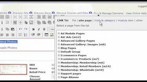 Creating Links To Module Category - Websiteforge Ecommerce Website
