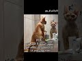 لما اشوف نفسي في المرايا كيف صرت فجأه حلو😅 #كوميديات  #تابعني_تموت_ضحك