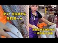 绝了这杀鱼手法全网第一人 这绝对是你见过杀鱼最潇洒的女孩 大白鲢换草鱼 两者之间谁最亏 绝了这杀鱼手法全网第一人 这绝对是你见过杀鱼最潇洒的女孩 大白鲢换草鱼 两者之间谁最亏