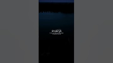 القارئ... محمد اللحيدان#قرآن #المصحف #إستمع #لايك #اكسبلور #حالات_واتس