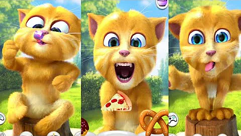 Video 4350941: talking ginger funny, cartoon talking, cat
