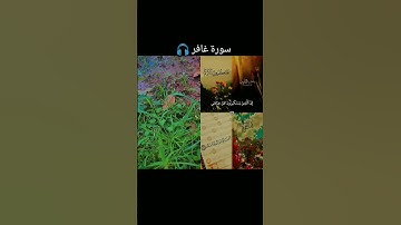 سورة غافر 🎧