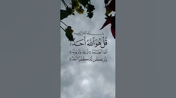 سورة الاخلاص بصوت الشيخ ماهر المعيقلي #قرآن #قران_كريم #قران #قرآن_كريم #quran #qurankareem
