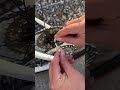 【自転車防犯】簡単＆確実！ロードバイクの正しい鍵のかけ方