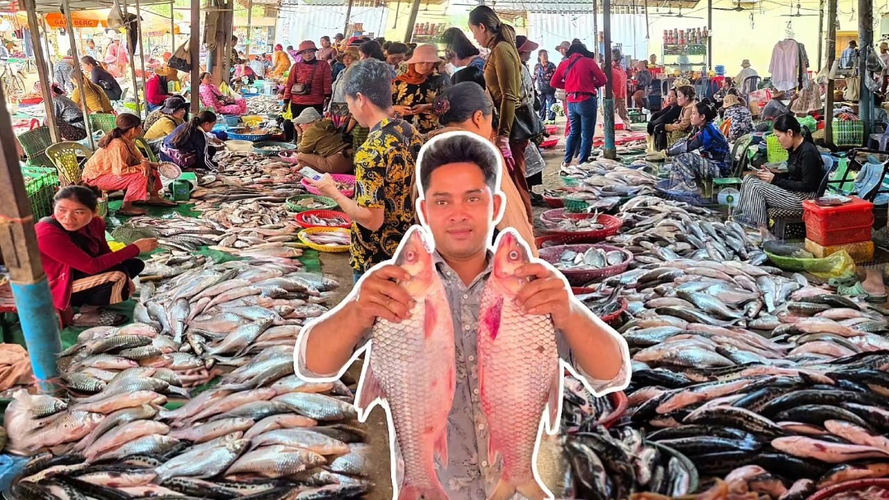 ផ្សារពន្លៃ ថ្ងៃនេះត្រីប្រែប្រួលហើយខុសពីម្សិលមិញ...🐟? || TAT SOKKΕΑ - ΚΗ [Ep. 1166]