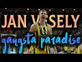 Jan Vesely // Gangsta's Paradise | 1080p60fps