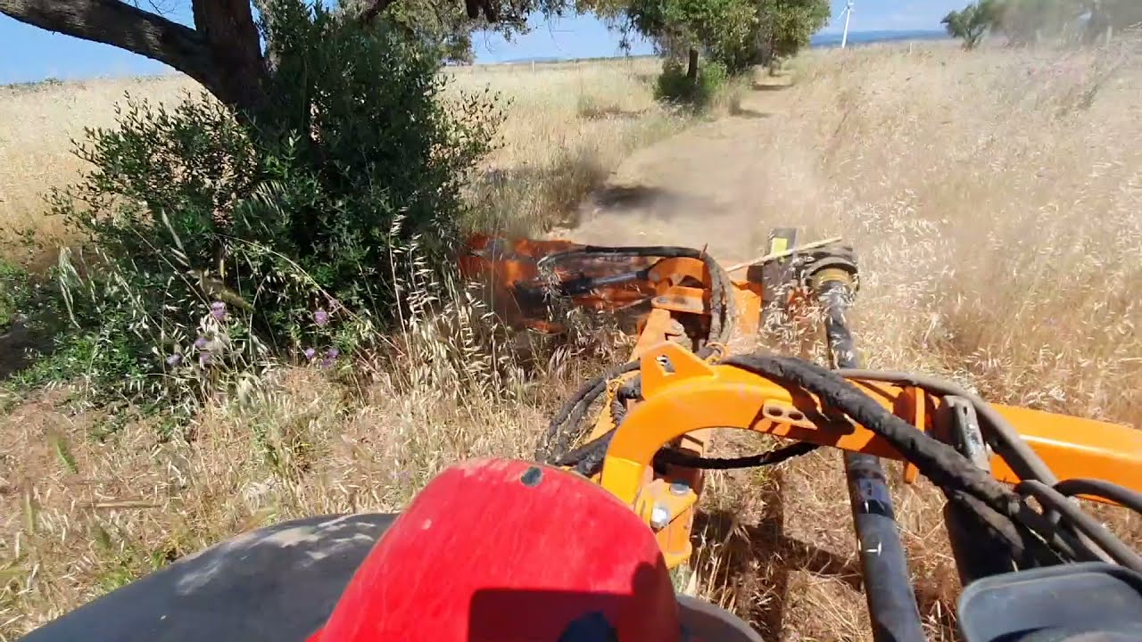 Trincia argini DELEKS  ALCE-160 Massey Ferguson 3655 GE farm tractor