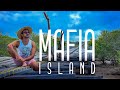 Mafia Island VLOG - Best Kept Secret of Tanzania | Explore the Tanzania