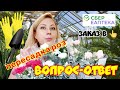 Отвечаю на комментарии // Заказ в СБЕР ЕАПТЕКЕ // Пересадка роз