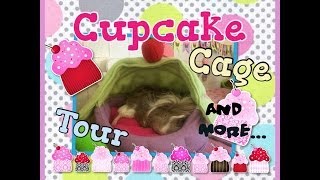 Guinea Pig Cage Tour! CUPCAKES CUPCAKES everywhere!!  (giveaway closed!!!)