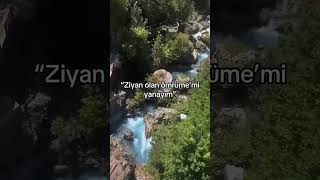 Ziyan Ömrüme Mi &Sustukça