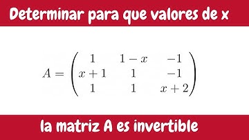 Determinante y inversa de una matriz