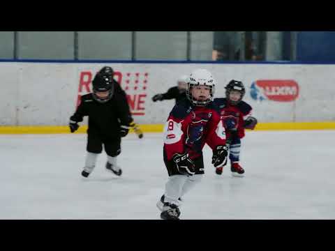 Видео: Хоккей - это идеальный день. Hockey Is a Perfect Day