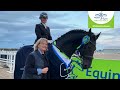 Petplan Elementary Freestyle Silver Summer Area Festival Champion: Alison Heywood & Thomas K