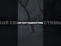 тгк: lilassqw #трек #music #музыкаонлайн #lyrics_songs #музыка