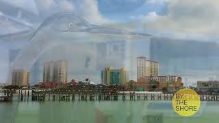 Module 3 Slideshow