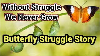 THE BUTTERFLY STRUGGLE