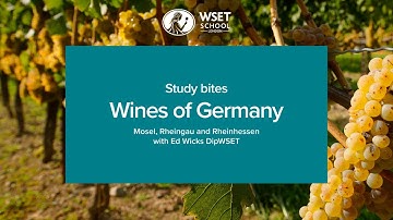 Study bites: wines of Germany (WSET Level 3 wine)