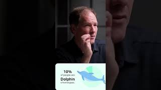 What is a dolphin chronotype? Sleep chronotypes explained!
