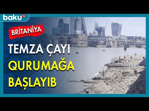 Video: Londonda Temza çayında palçıq