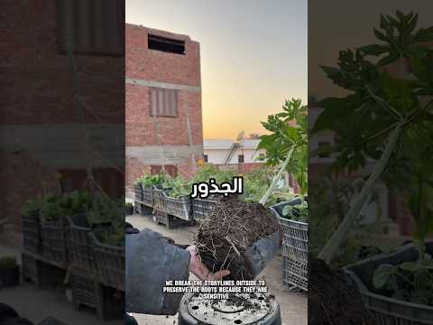 يتري اية الي حصل لشجرة بعد 5شهور من التجربة