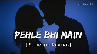 Pehle Bhi Main Slowed Reverb Vishal Mishra Animal Anshul3Zx