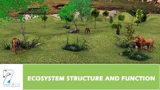 ECOSYSTEM STRUCTURE AND FUNCTION _ PART 01