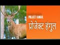 PROJECT HUNGUL IN INDIA 🇮🇳 FOR UPSC UPPCS RO ARO BY GAUTAM SIR