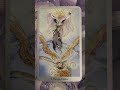 The High Priestess #tarot #majorarcana #highpriestess