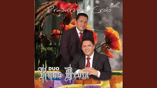 Llegaste a Mi Vida