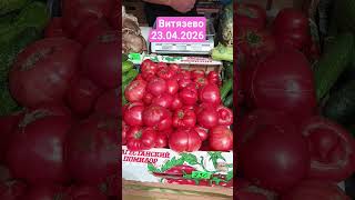 Люблю корявые помидоры.. #витязево #привоз #рынок #tomato  #fruit #овощи  #цена #помидоры
