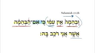 Nehemiah 2:12b