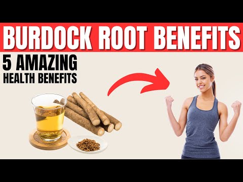 Burdock Root Benefits