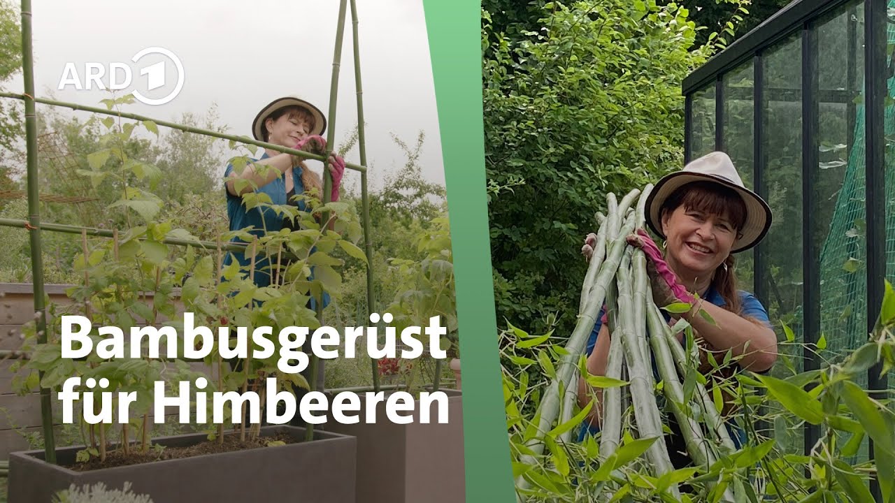 bambus kurzsocken Bambus Sneakersocken | Weich, Atmungsaktiv & Rutschfest