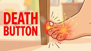 Why Stubbing Your Little Toe Feels Like Death