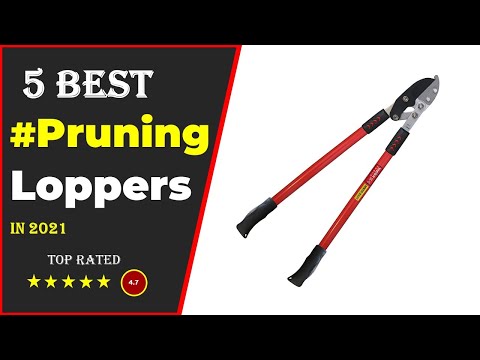 Video: Lopper: Features Of The Ratchet Garden Lopper For Pruning Trees. Characteristics Of Hand-held Models. Comparison Of Alligator, Raco, Wolf-Garten And Others