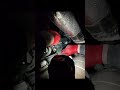 Inlet NOx sensor R&R #diesel #repair #shop #tools #mechanic