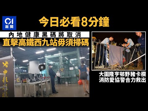 #今日新聞  黑碼取消 高鐵西九站掃碼電腦閂晒｜大圍隆亨邨對開野豬卡欄 ｜01新聞｜北上消費｜大圍｜長發麵家｜Friends ｜2023年10月29日 #hongkongnews