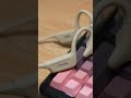 Musik unter Wasser? Knochenschall-Kopfhörer! #Wearables #FitnessTech #Innovation
