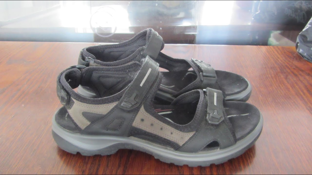 ecco receptor review