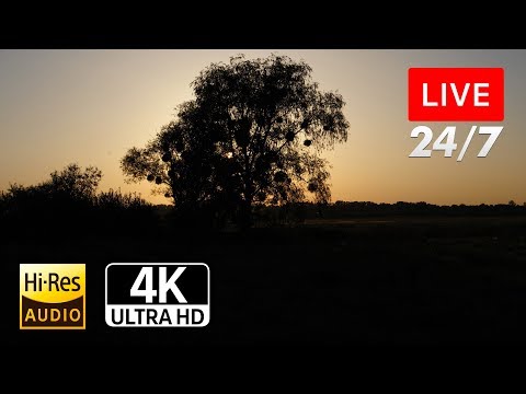Просто Природа. ●UHD 4К●