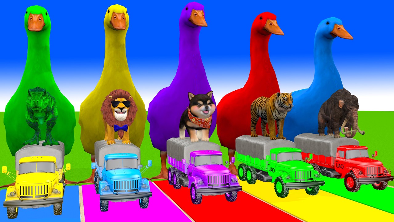 Long Slide Game With Cow Elephant Gorilla Hippopotamus Tiger 3d Animal Game Funny 3d Animals